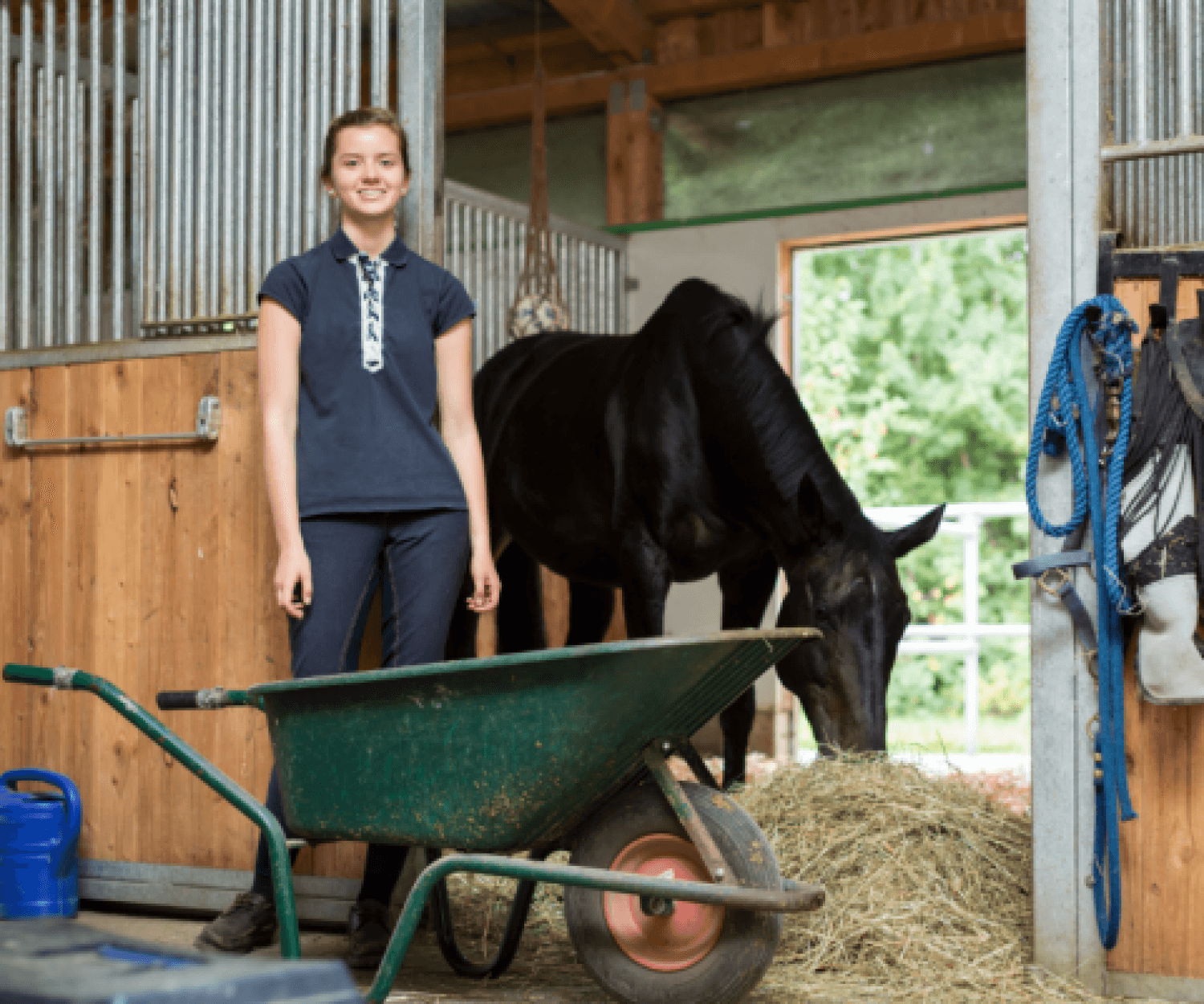 animal handler image