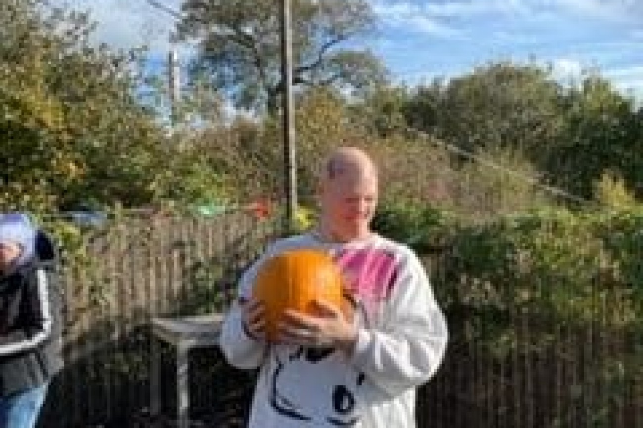 halloween pumpkin picking image