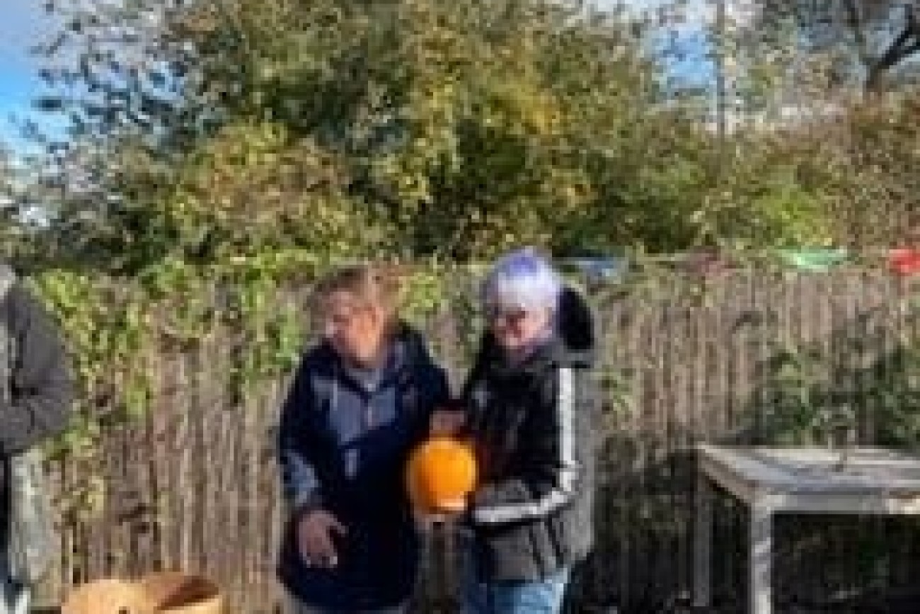 halloween pumpkin picking image