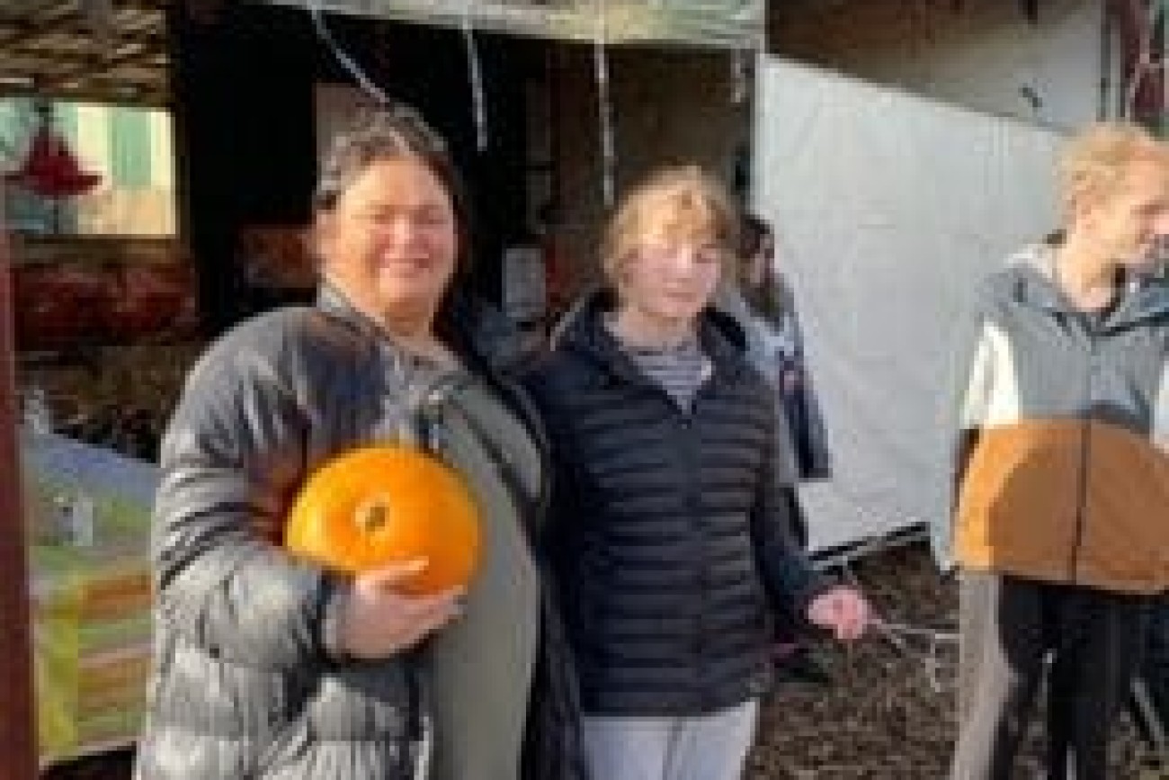 halloween pumpkin picking image