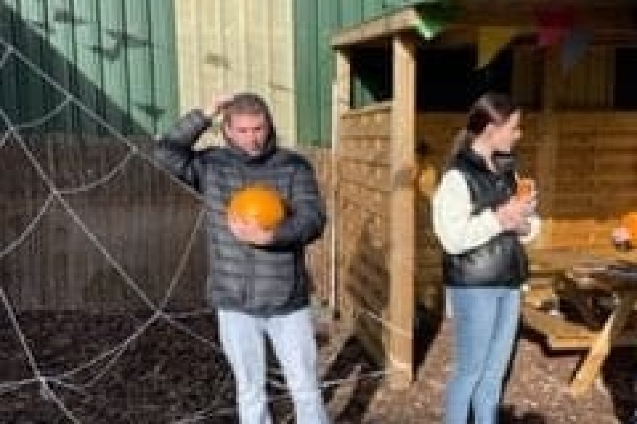halloween pumpkin picking image