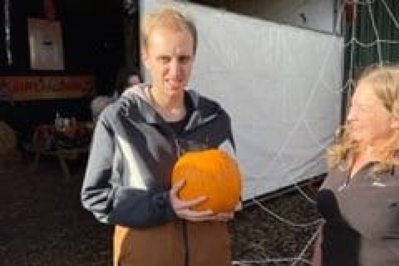 halloween pumpkin picking image