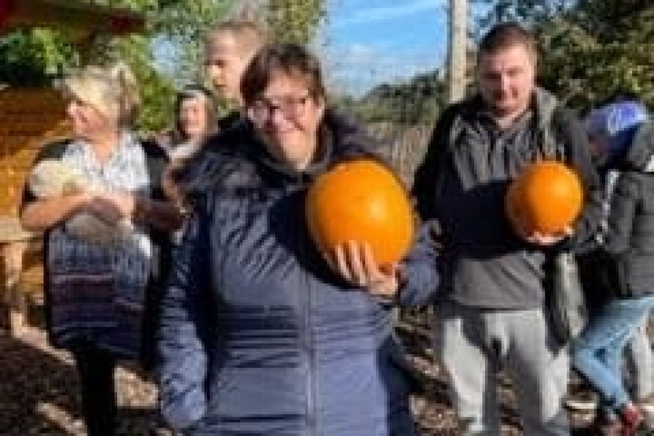 halloween pumpkin picking image