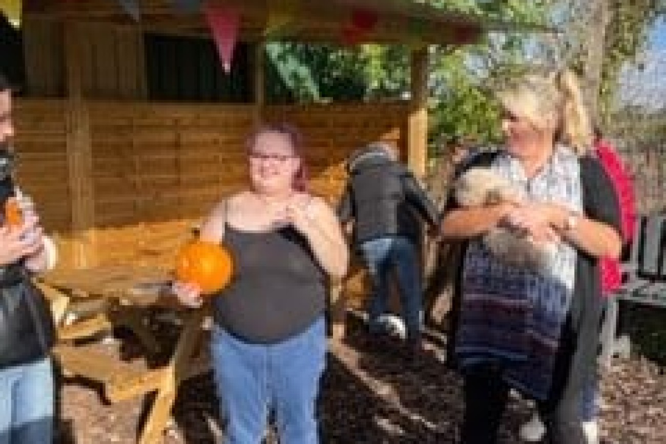 halloween pumpkin picking image