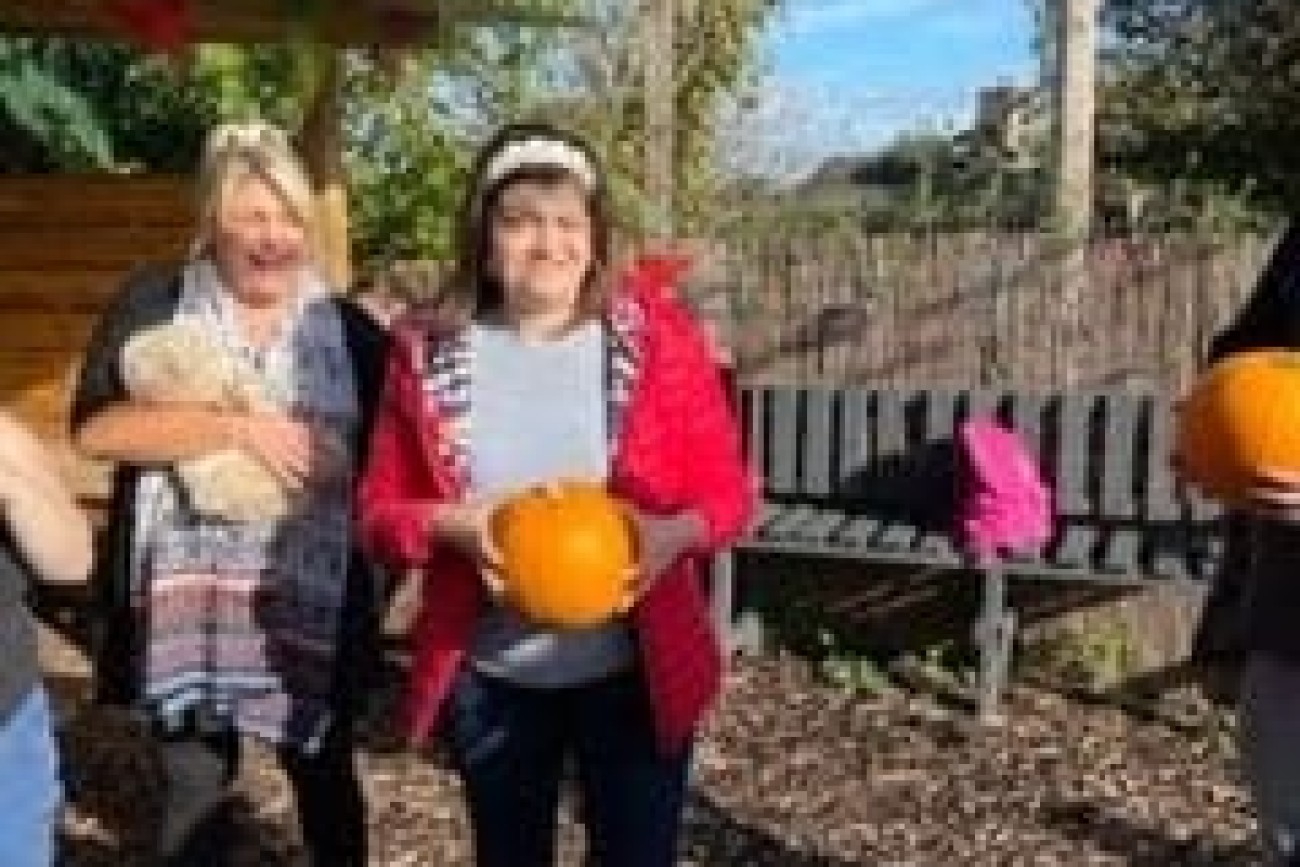halloween pumpkin picking image