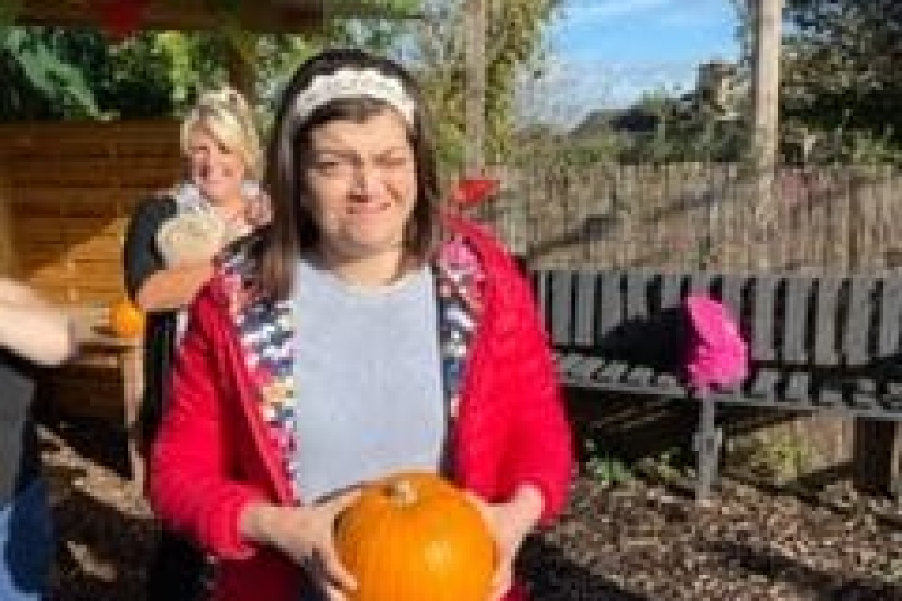 halloween pumpkin picking image