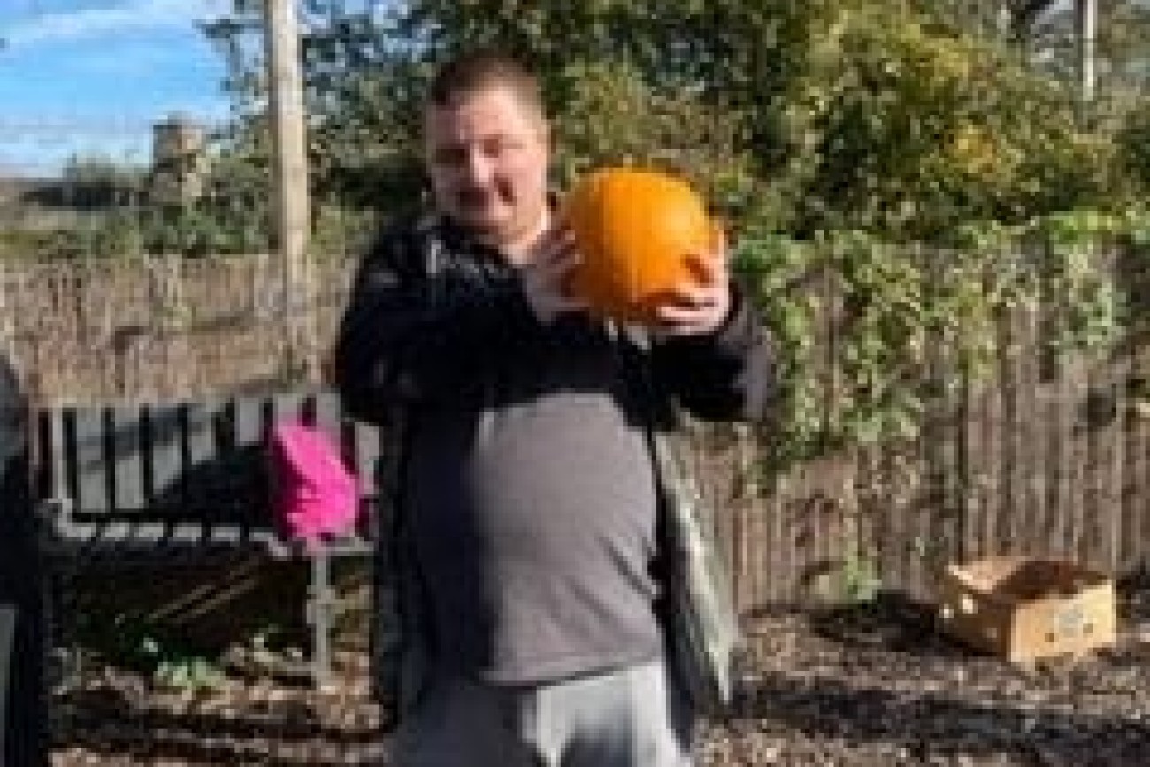 halloween pumpkin picking image