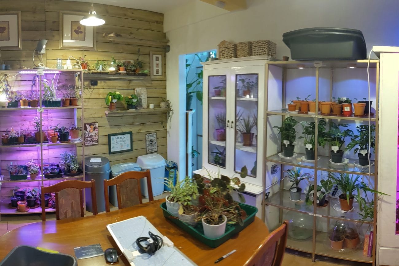 Ability Grows Back Room