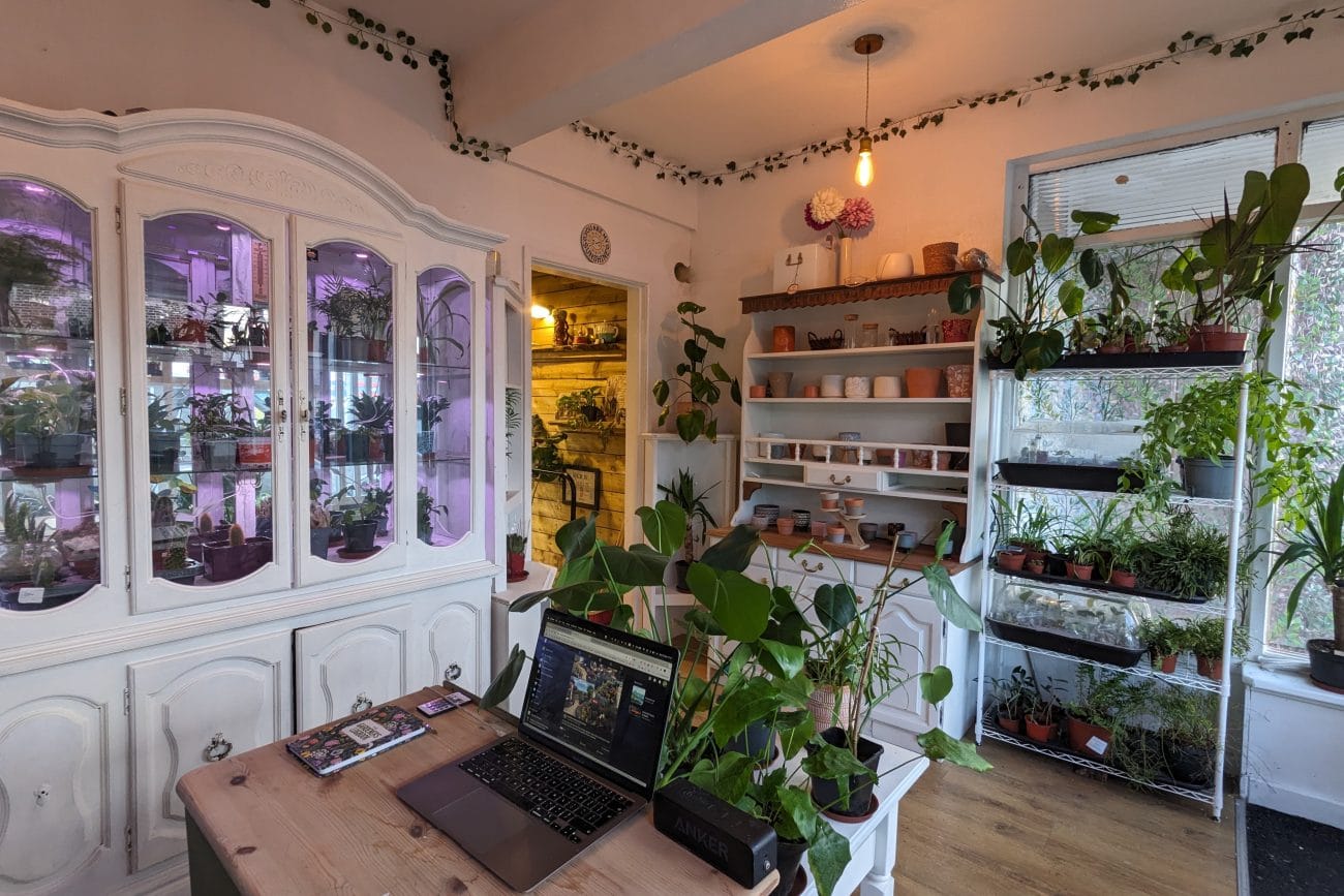 ability grows inside front