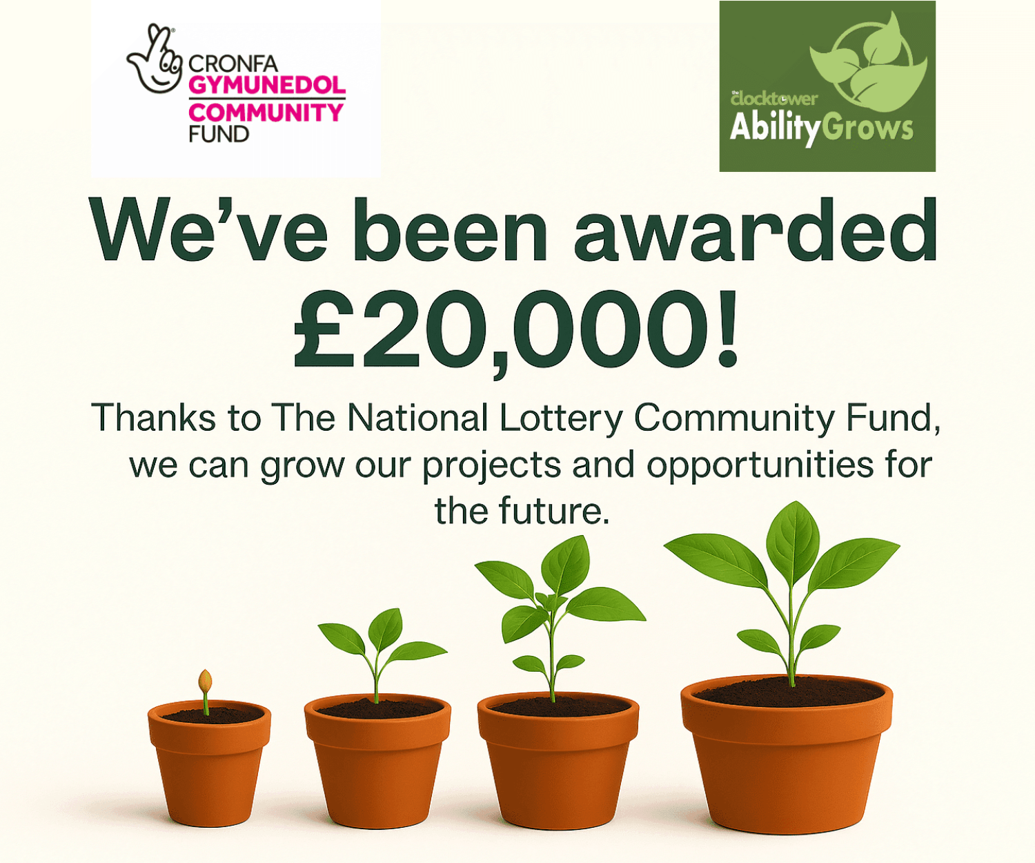 Row of terracotta pots with seedlings growing into a mature plant, announcing £20,000 funding award for Ability Grows.